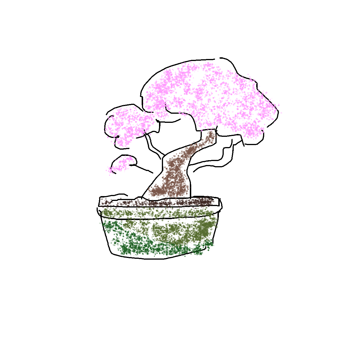 Bonsai drawing by nammy