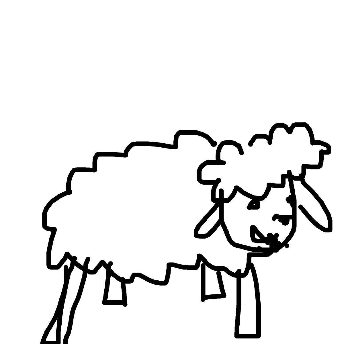 Sheep drawing by jivemarlin