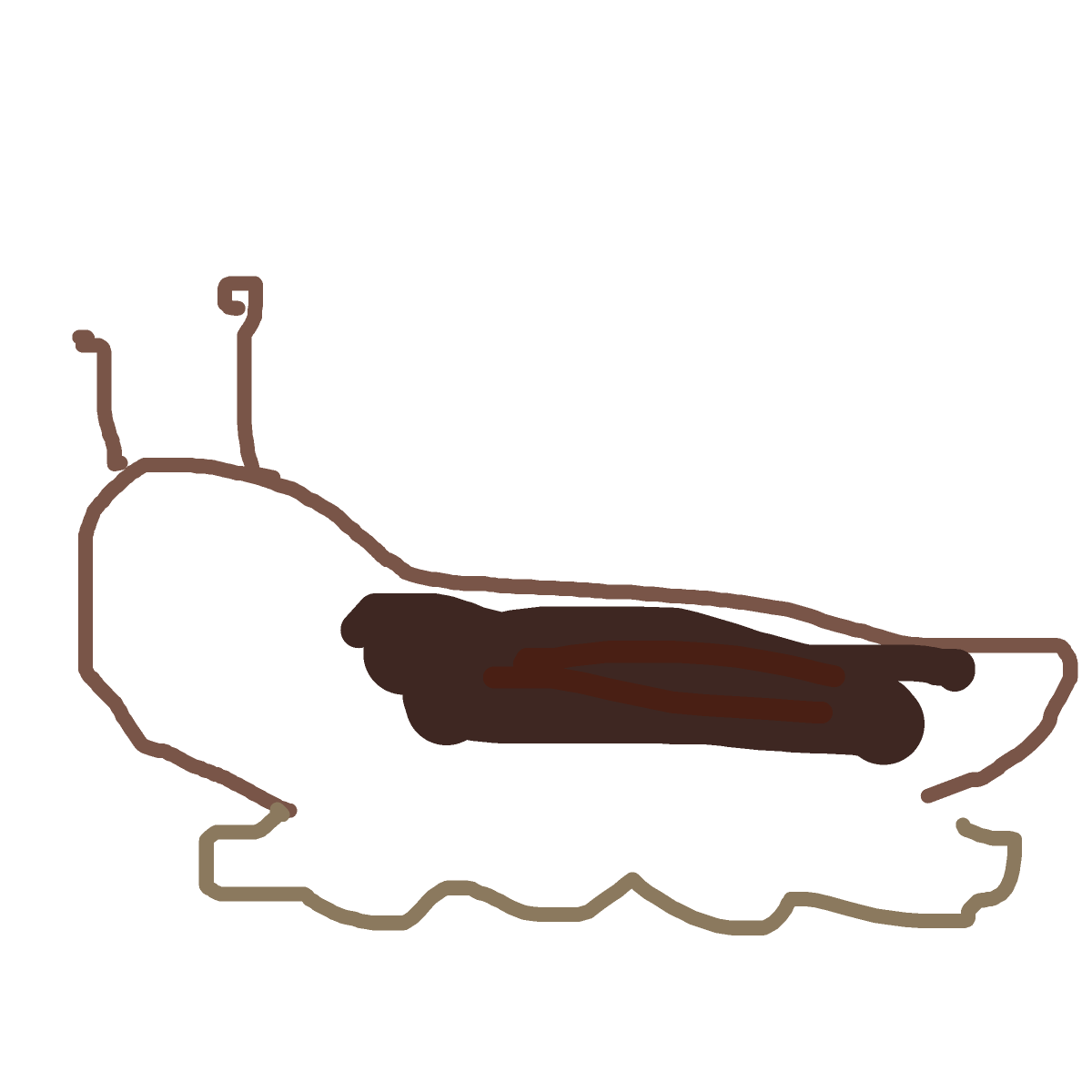 Slug drawing by bones