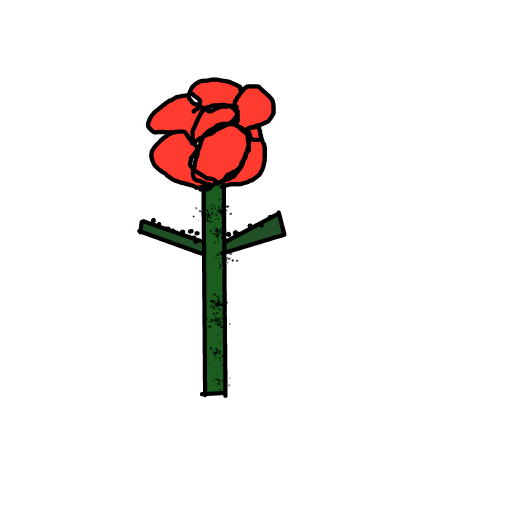 Rose drawing by Almog