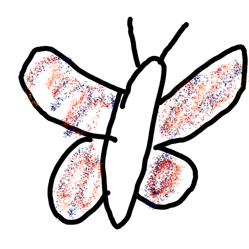 Butterfly drawing by Shandi