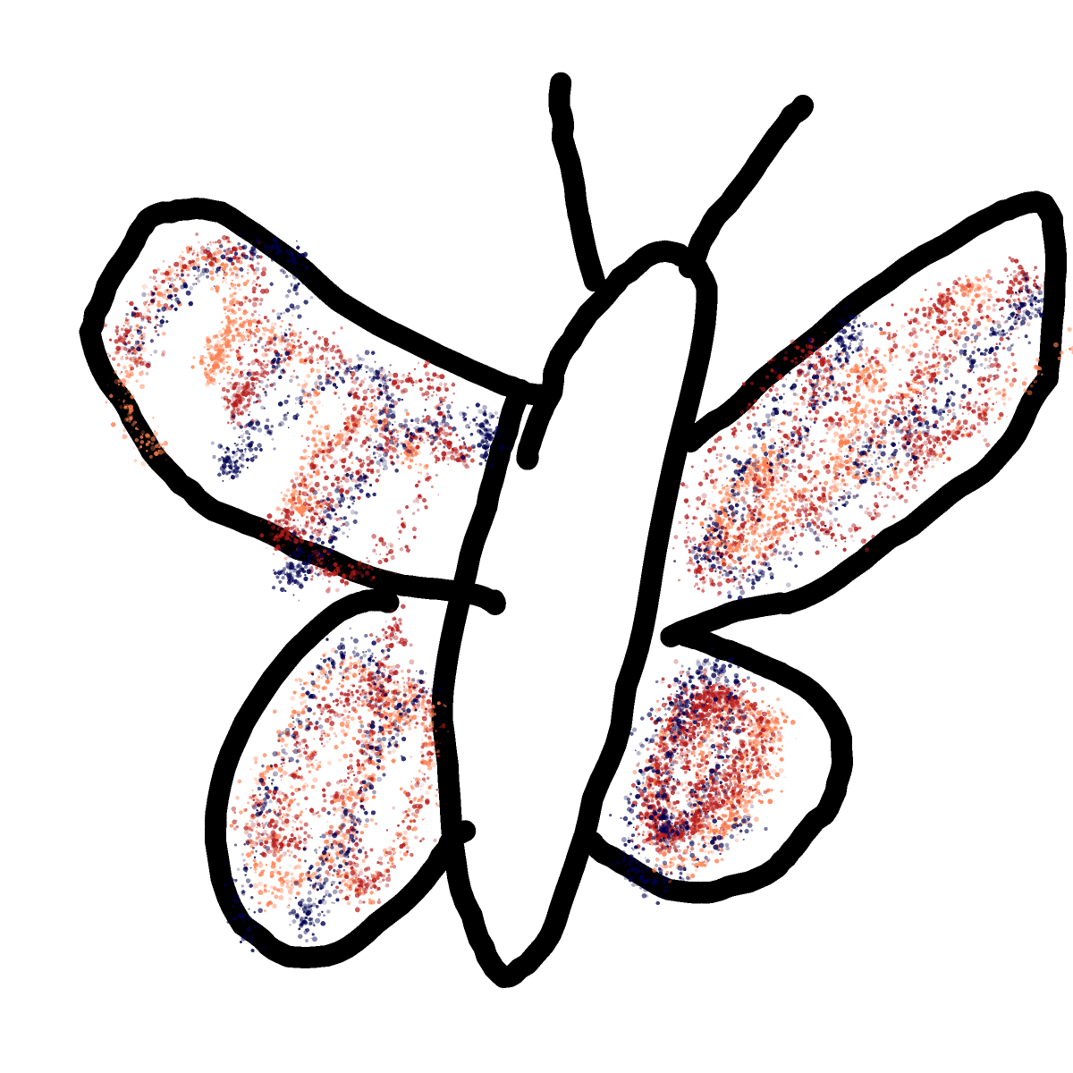 Butterfly drawing by Shandi