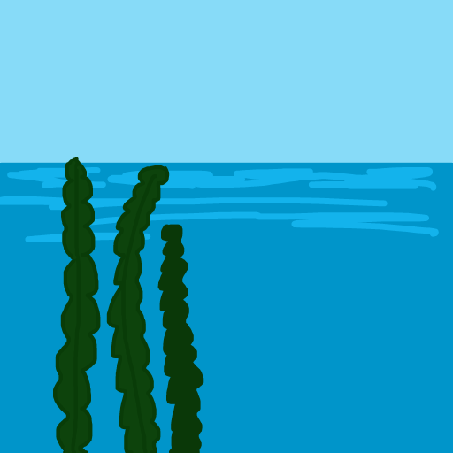 Seaweed drawing by firecracker
