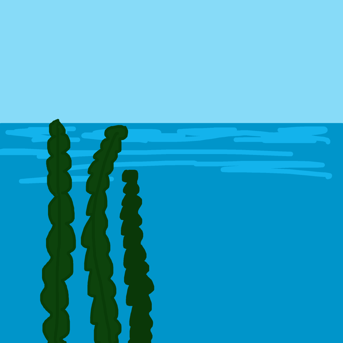 Seaweed drawing by firecracker