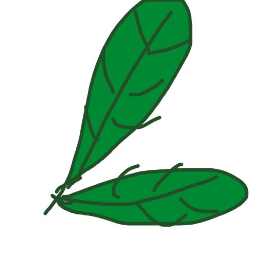 Leaf drawing by princess fiona