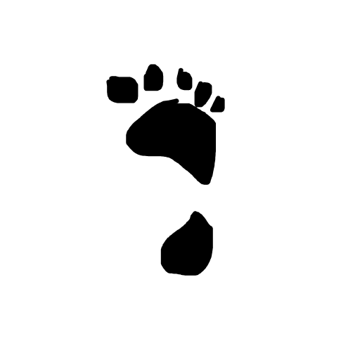Footprint drawing by thegreatbeargod