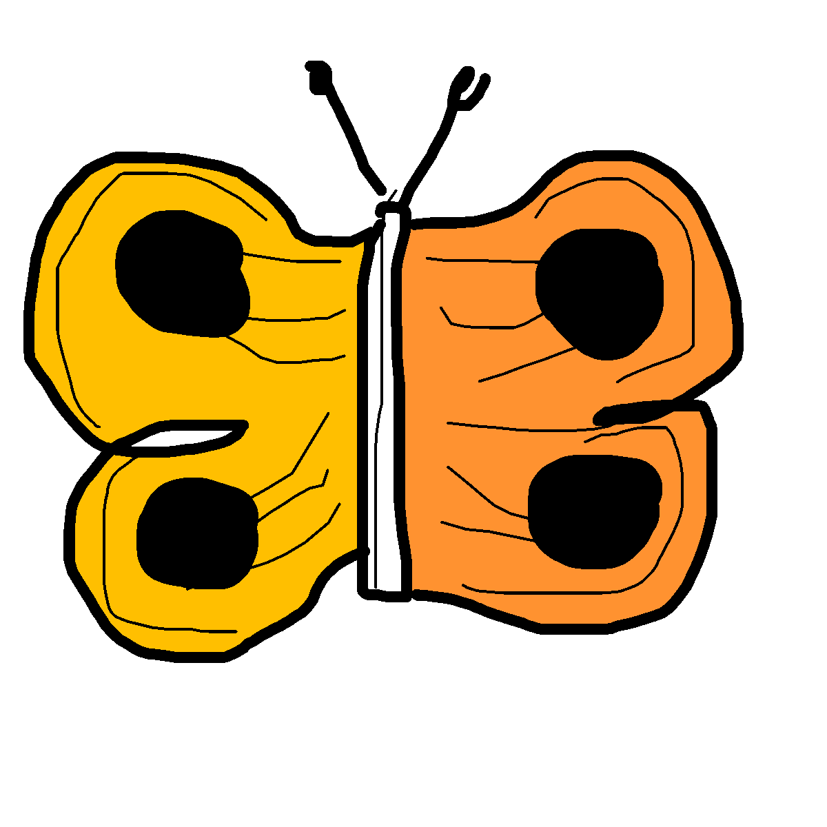 Butterfly drawing by roymans