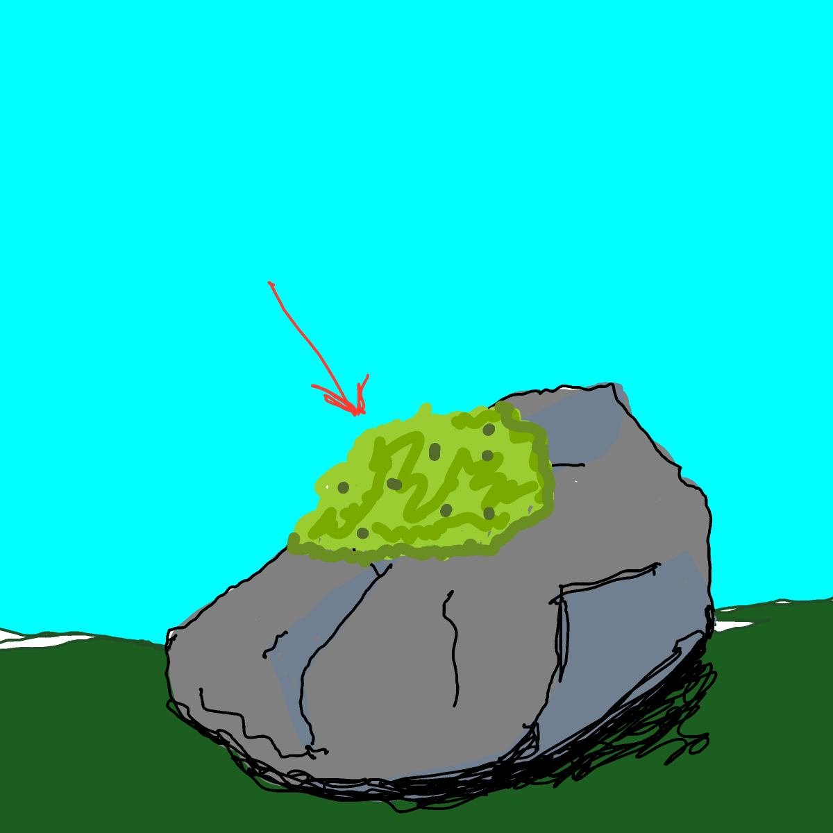 Moss drawing by wind-graph-ninja