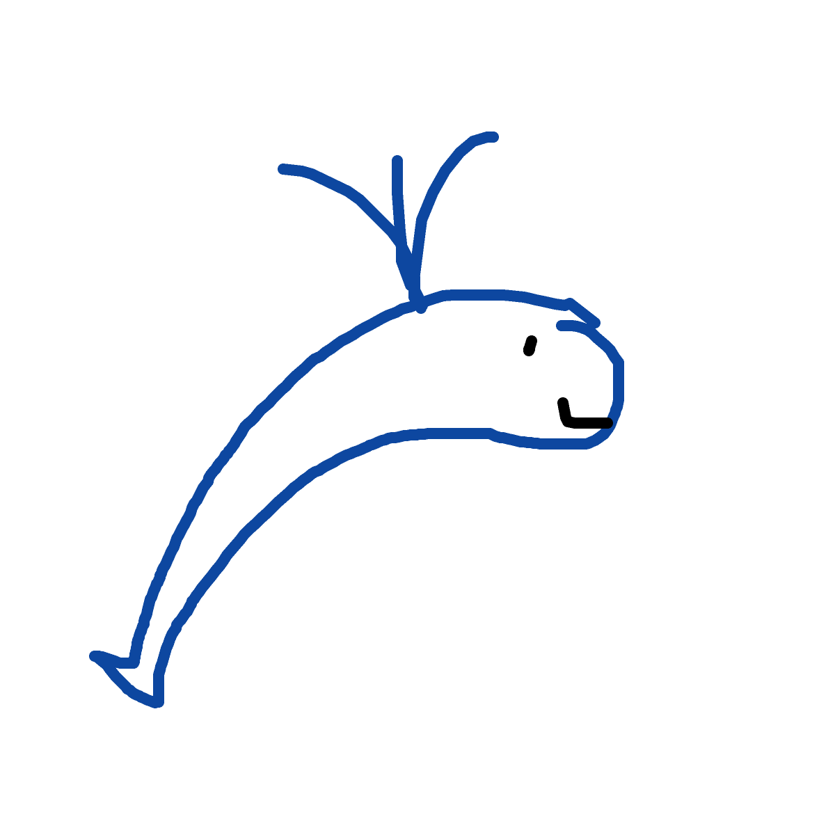 Dolphin drawing by ms lady