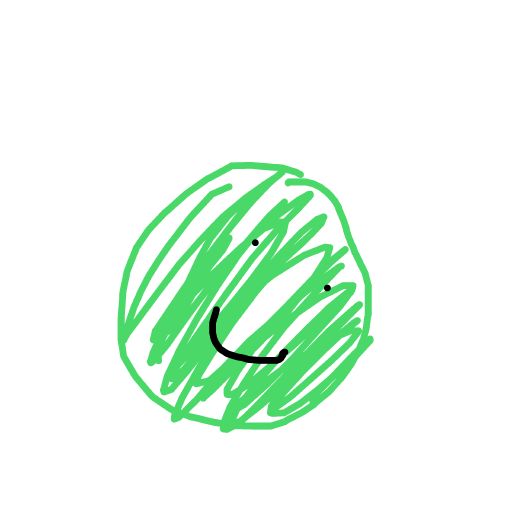 Watermelon drawing by lili