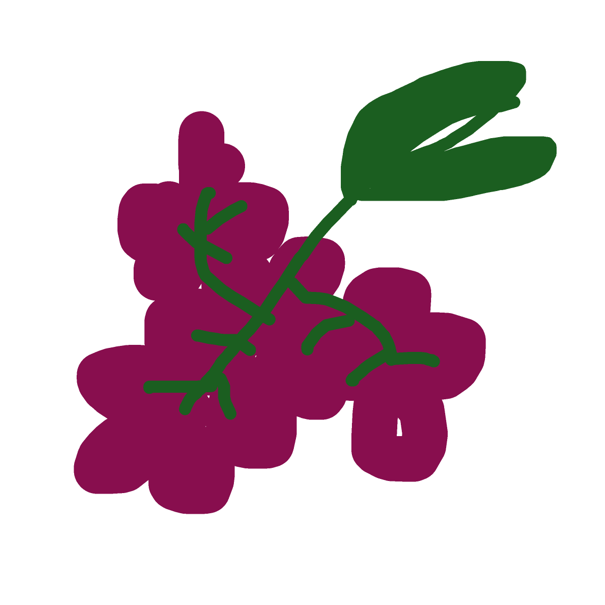 Grapes drawing by cyan-bronze-net