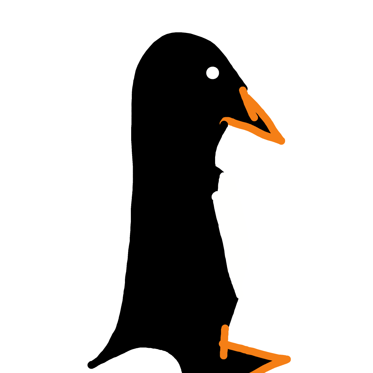 Penguin drawing by Timmie
