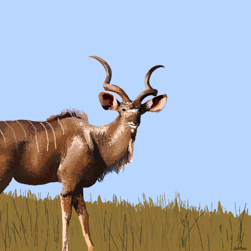Kudu drawing by Soybean