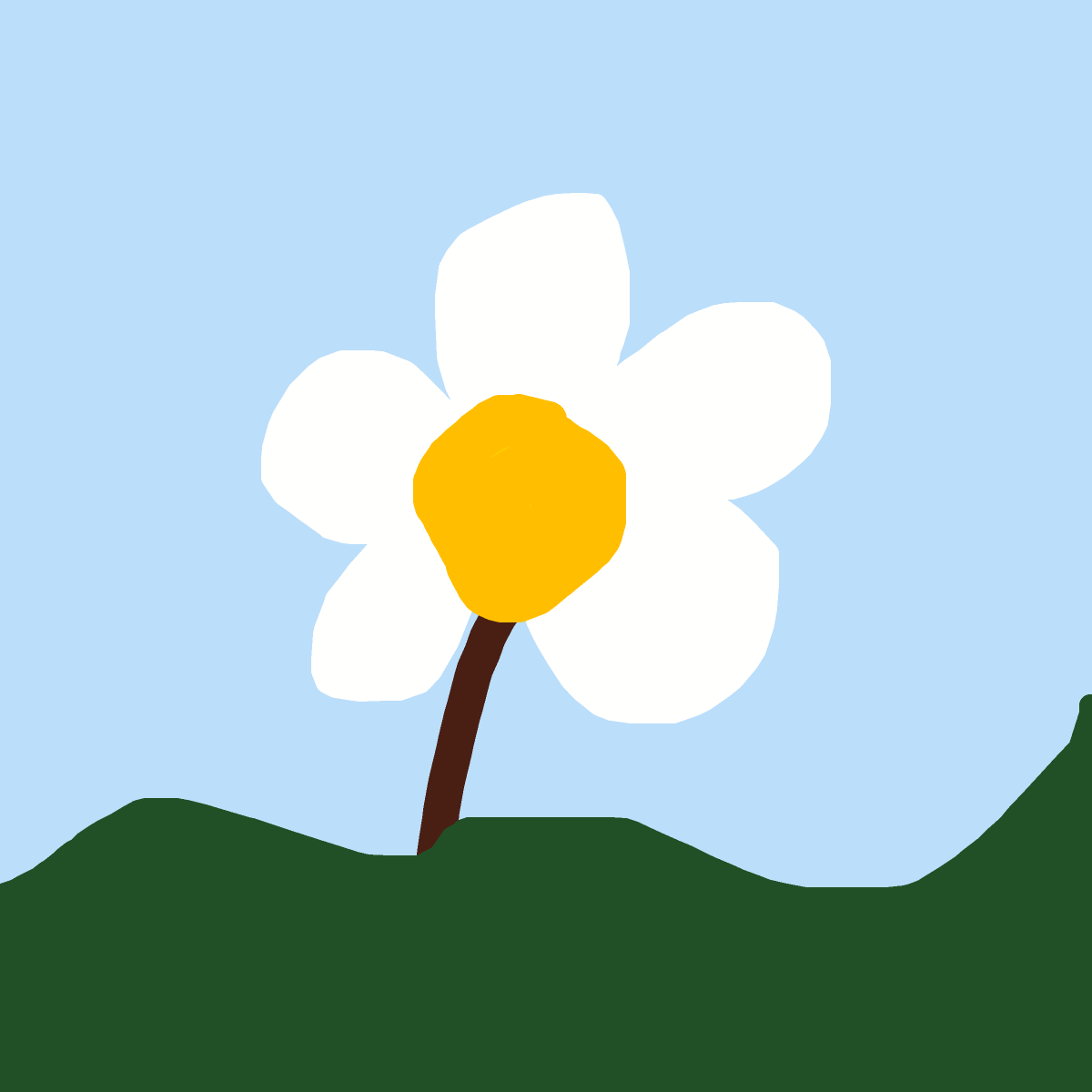 Flower drawing by bia