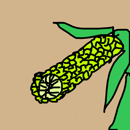 Corn drawing by vivid-moon-code