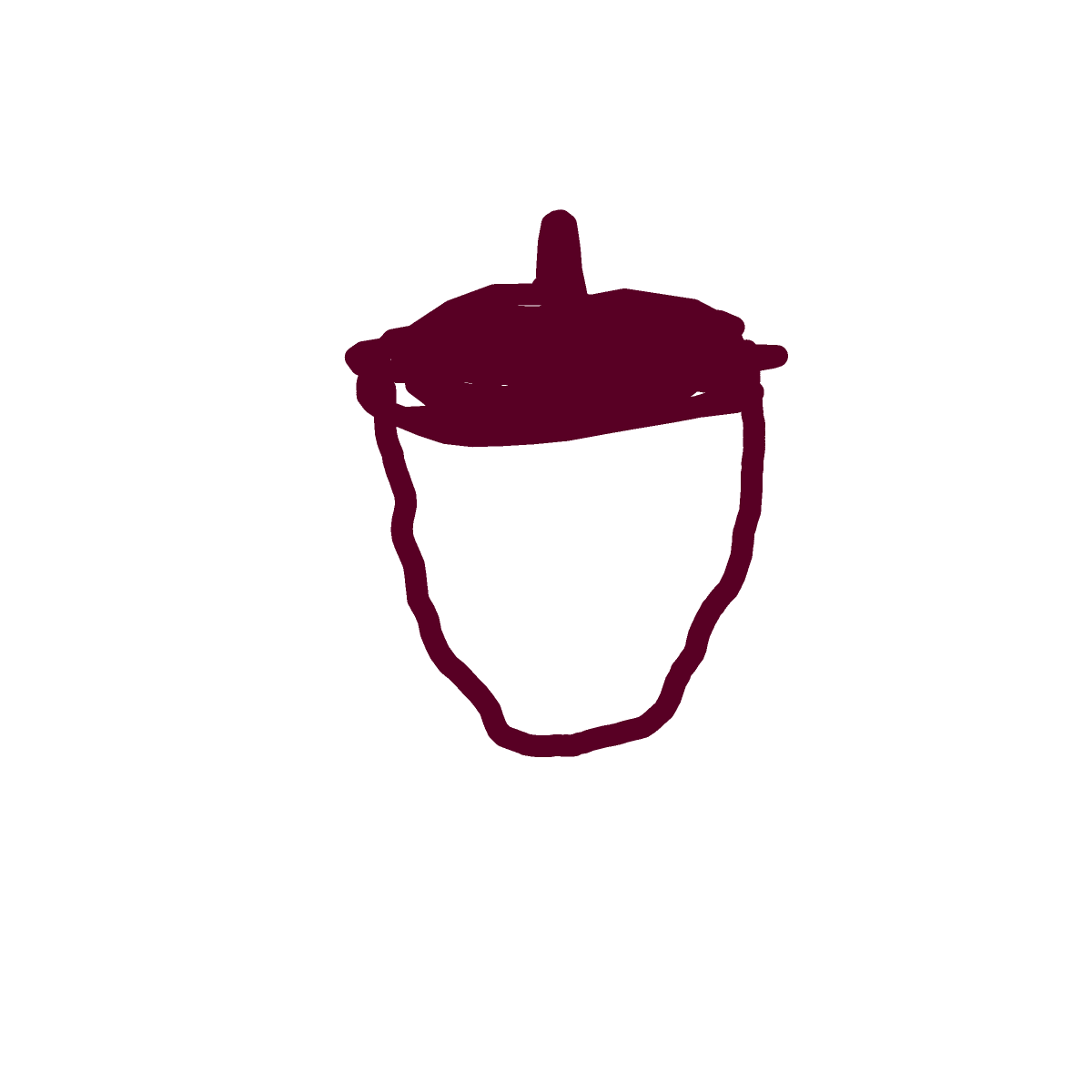 Acorn drawing by Mr Doodles