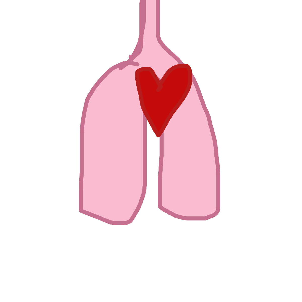 Lungs drawing by clear-cyan-drive