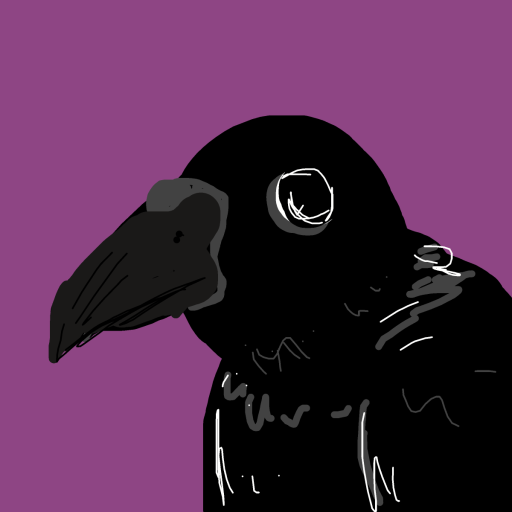 Raven drawing by knoxy