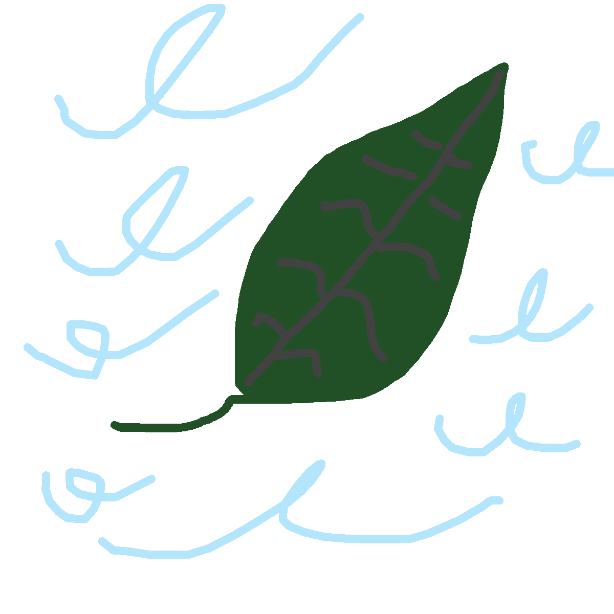 Leaf drawing by gurtfro
