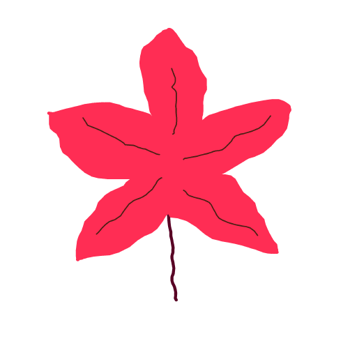 Maple Leaf drawing by Mr Doodles