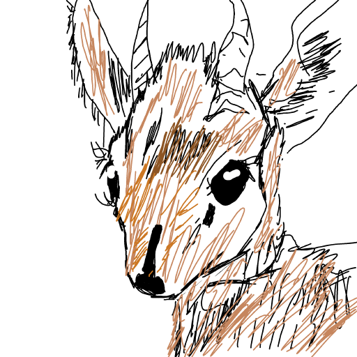 Kirks Dikdik drawing by fresh-paint-king