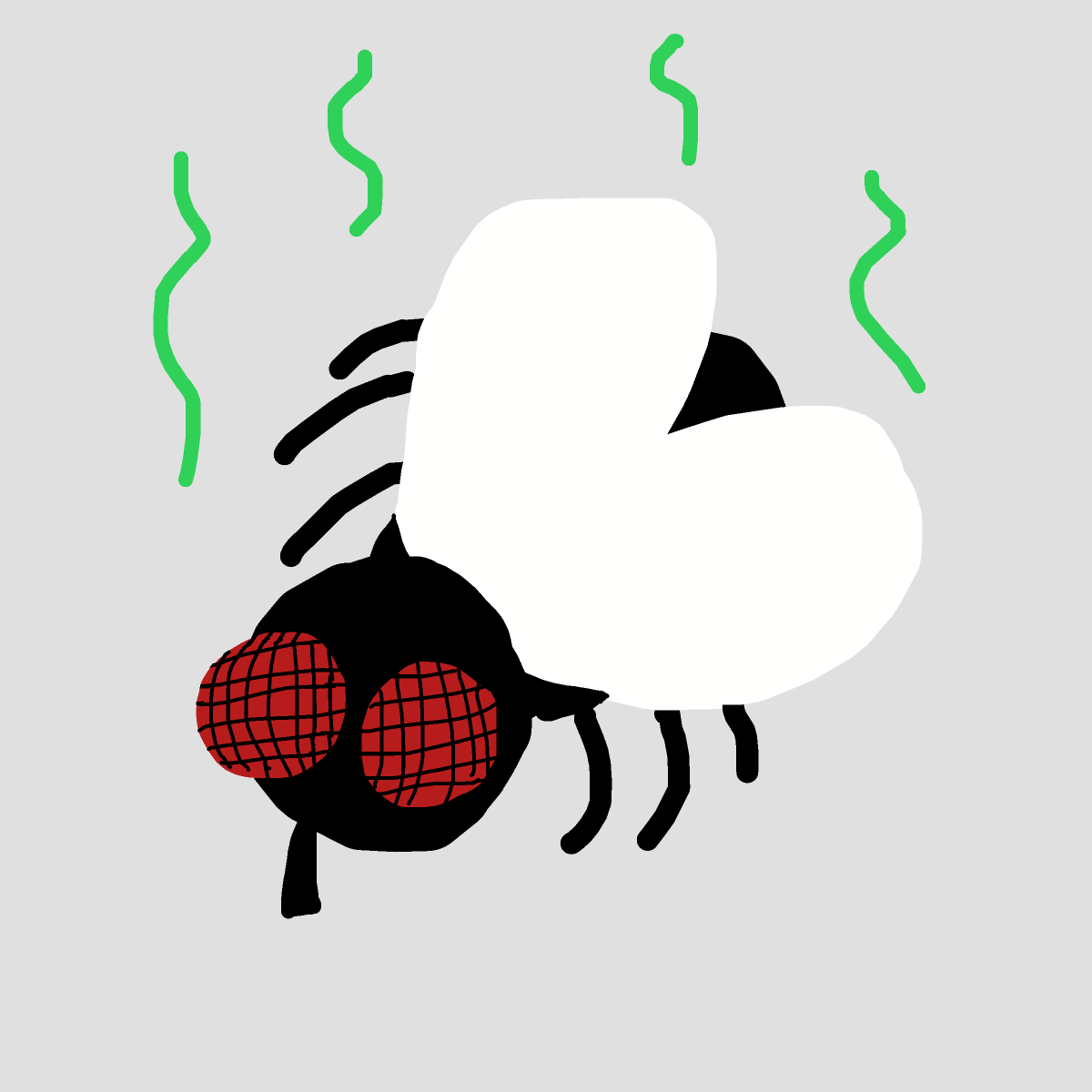Fly drawing by jashezilla
