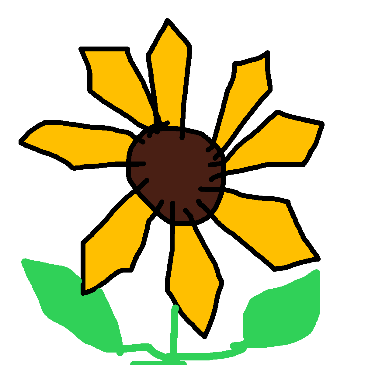 Sunflower drawing by mikestam195