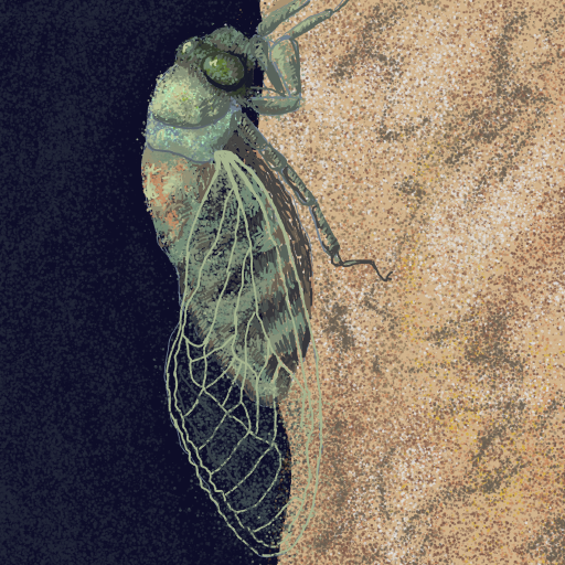 Cicada drawing by Soybean