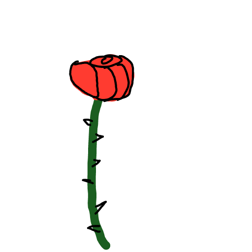 Rose drawing by Nuss