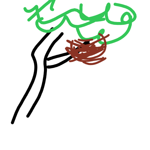 Nest drawing by Shew