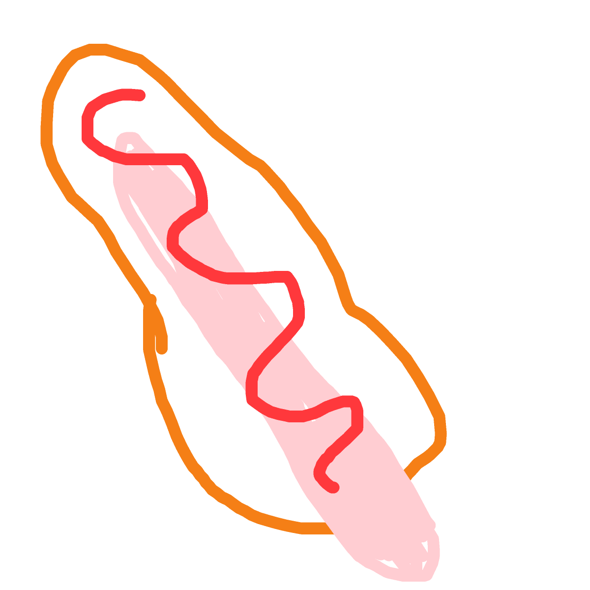 Hot Dog drawing by rose