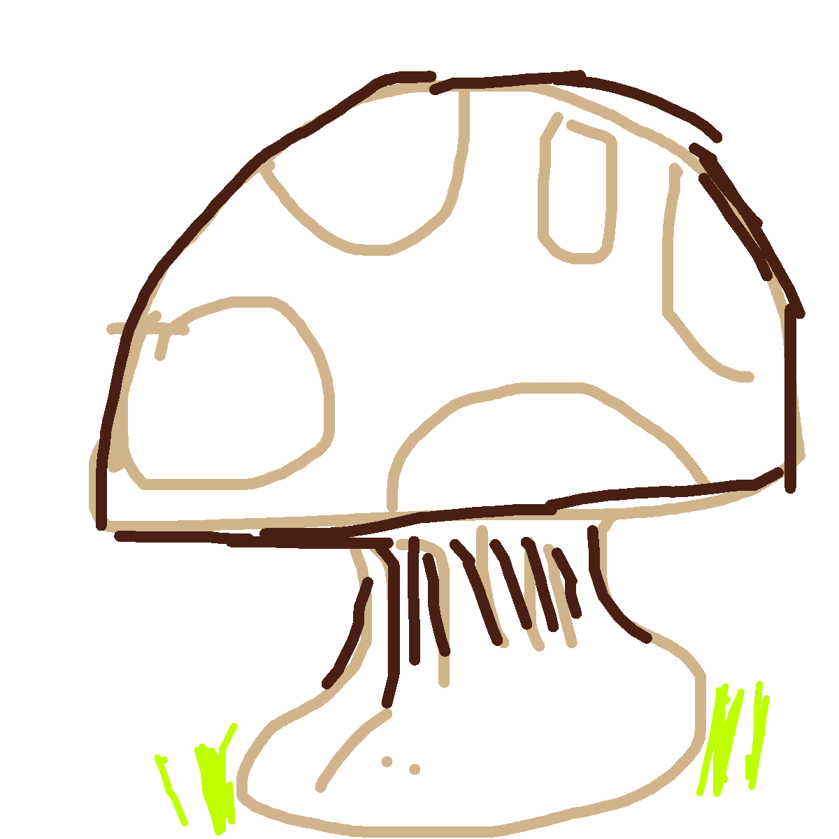 Mushroom drawing by fire-quick-wheel
