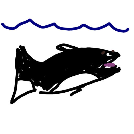 Orca drawing by grape-hard-shield