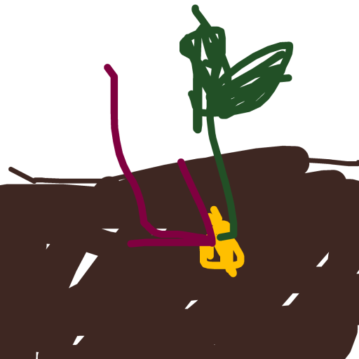 Seed drawing by val