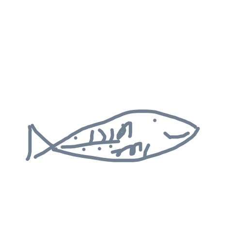 Sardine drawing by maite