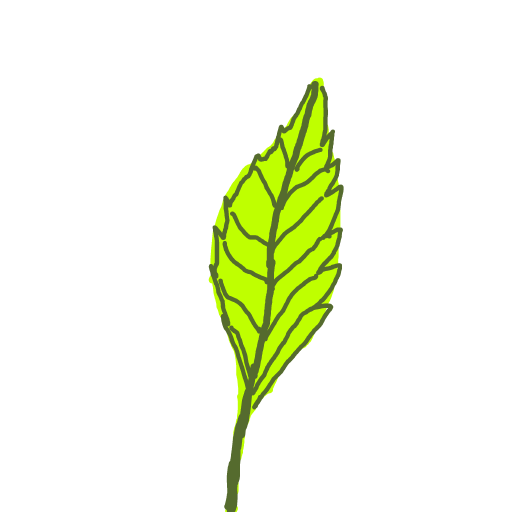 Leaf drawing by godor
