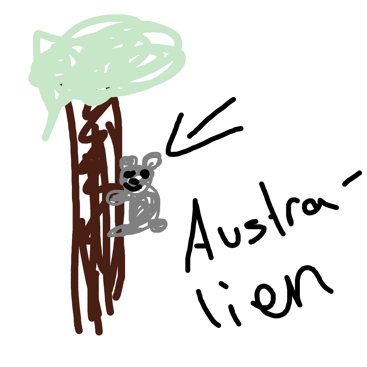 Koala drawing by aqua-clear-camp