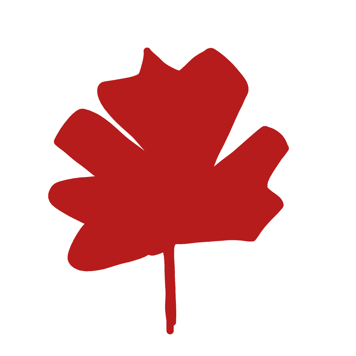 Maple Leaf drawing by Marcos