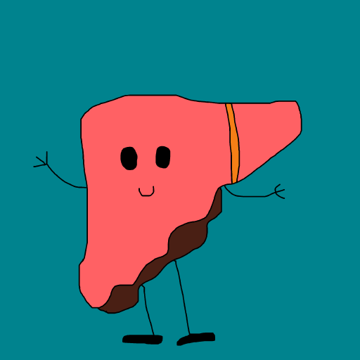 Liver drawing by krissywissy