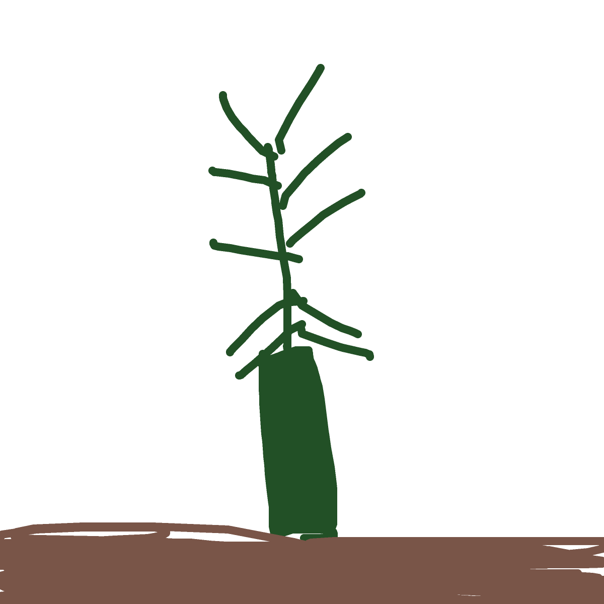 Cactus drawing by cool-pure-maker