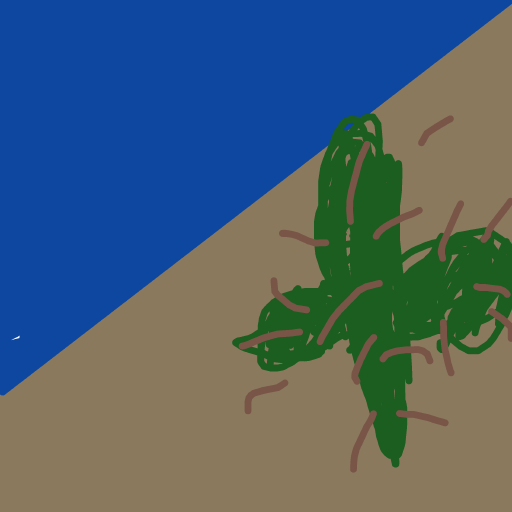 Cactus drawing by vivid-color-style