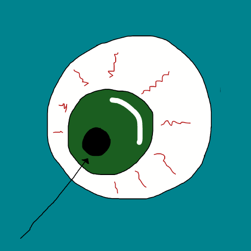 Pupil drawing by krissywissy