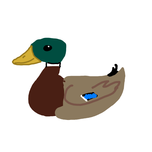 Duck drawing by Tayne
