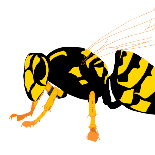 Wasp drawing by nuchalant