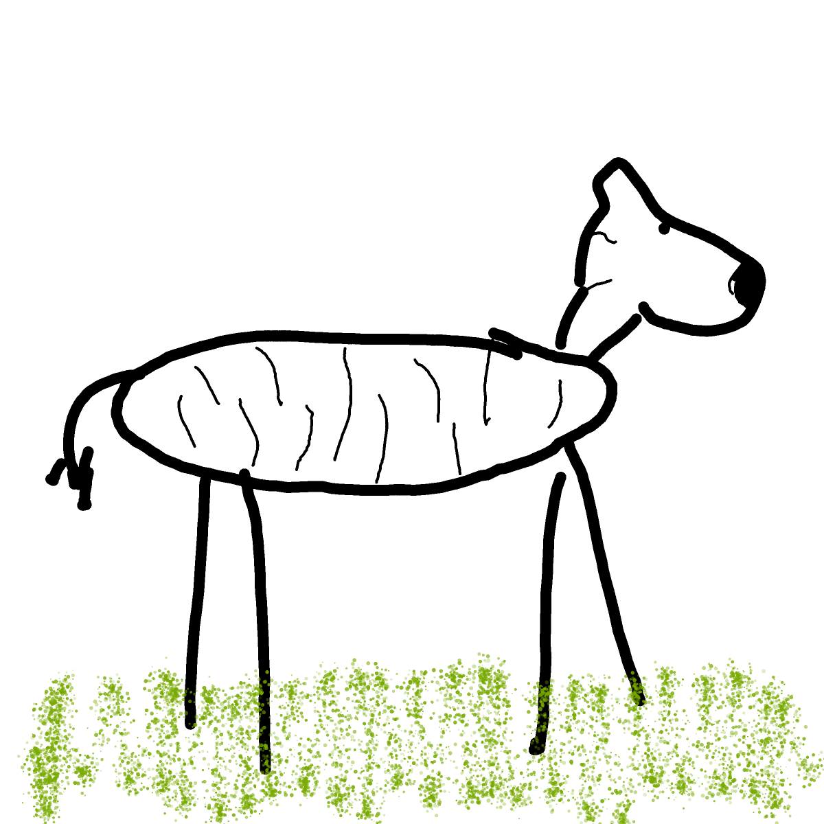 Zebra drawing by Shandi