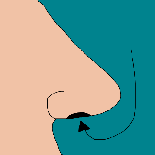 Nostril drawing by krissywissy