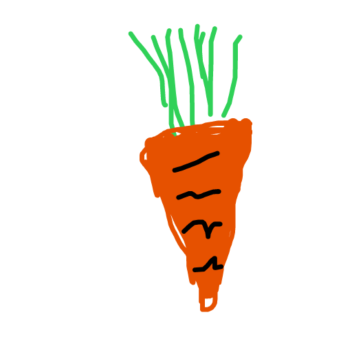 Carrot drawing by troy