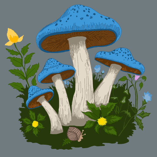 Mushroom drawing by firecracker
