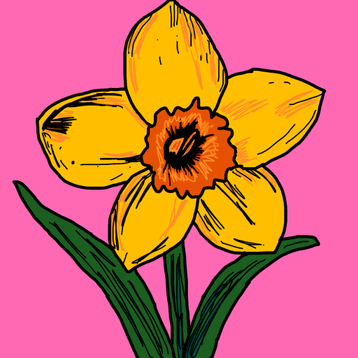Daffodil drawing by monthra
