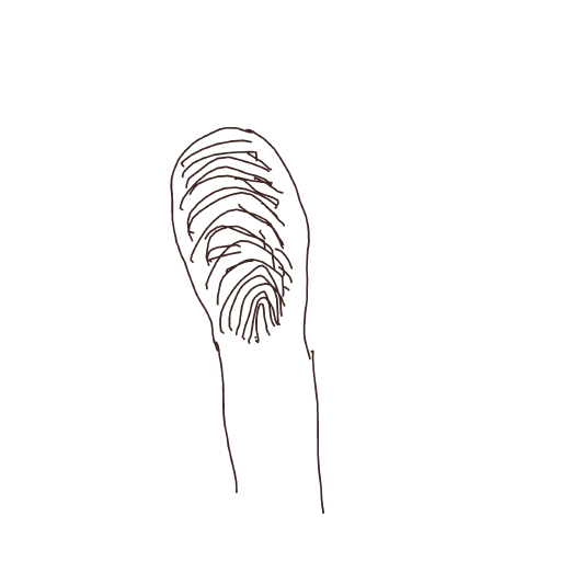 Fingerprint drawing by magic-vivid-guru